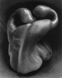 Edward Weston - Pepper 30